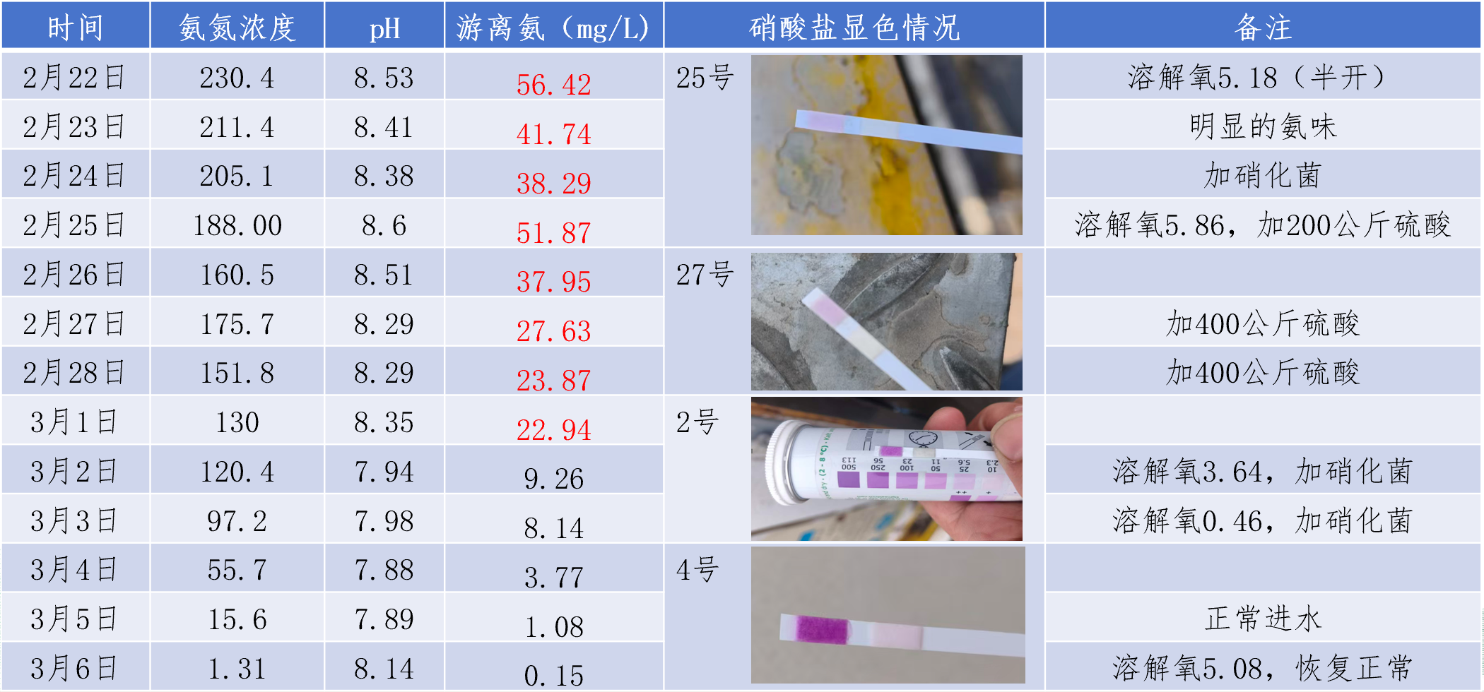 1d5101ed-6180-4fad-971e-801d8f6d41fc.png